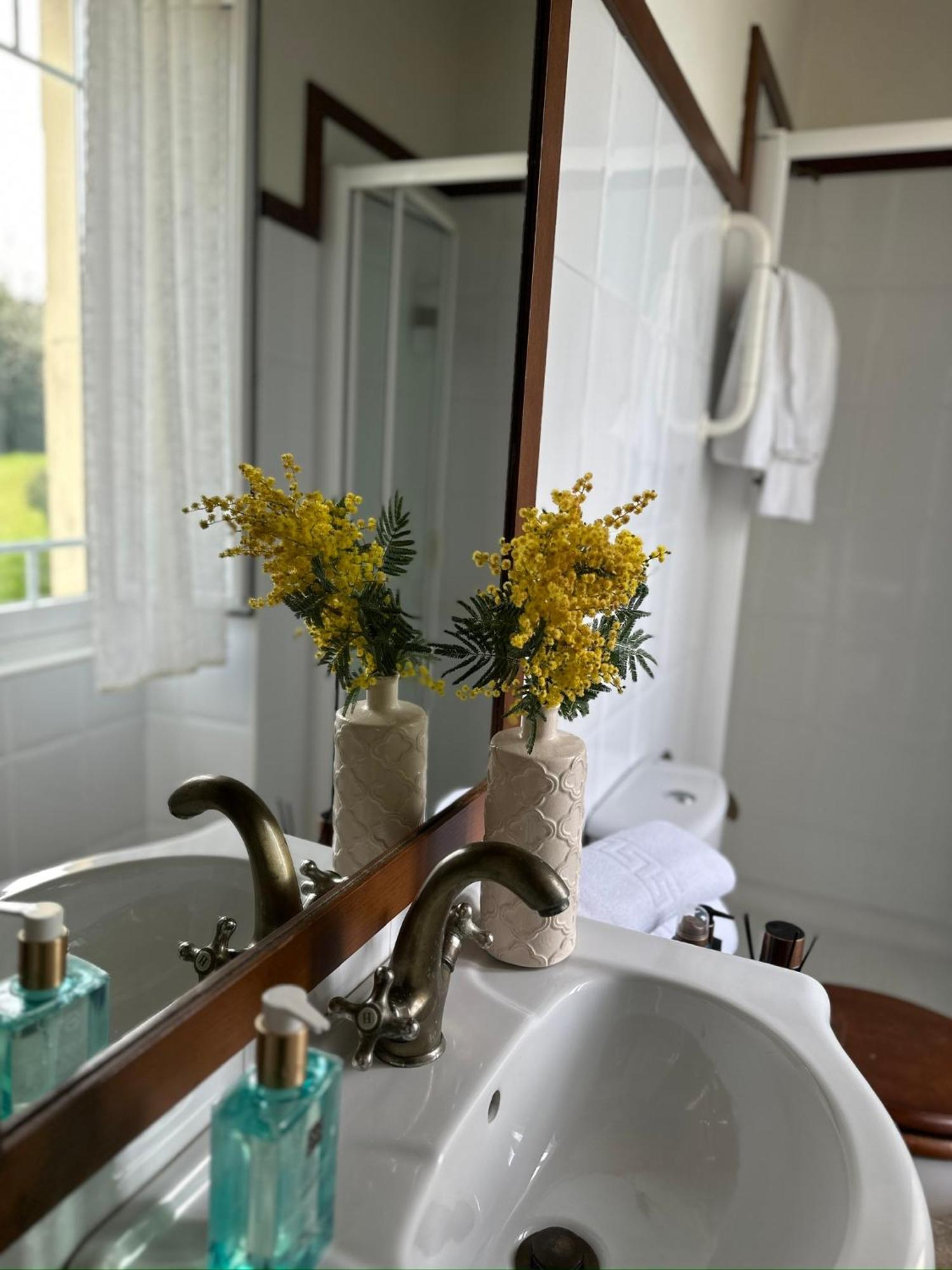Villa Auristela Navia Kültér fotó